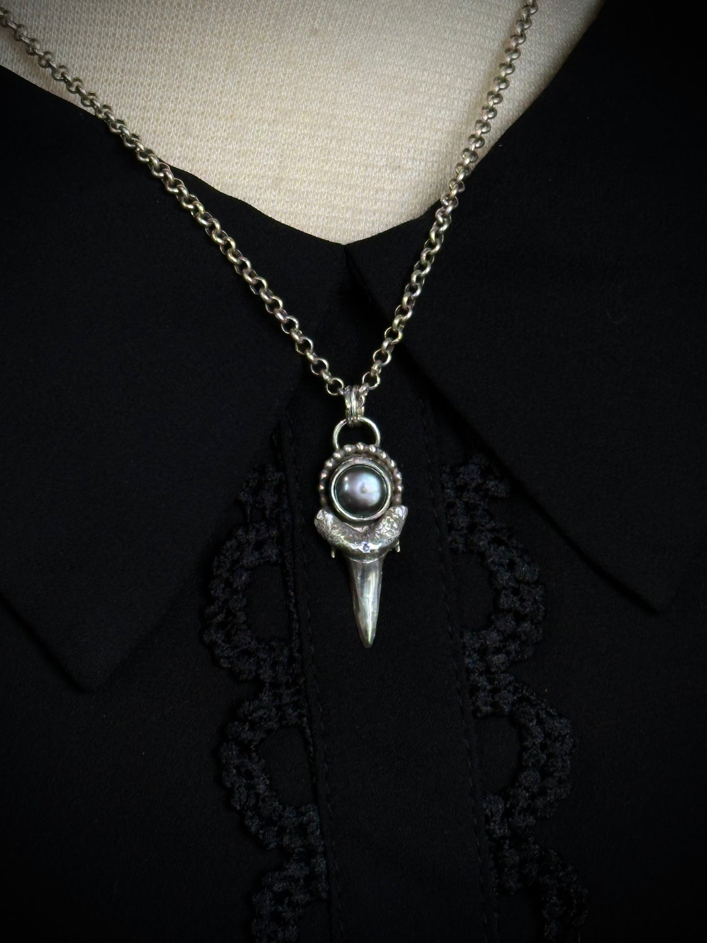 Shark Tooth Necklace